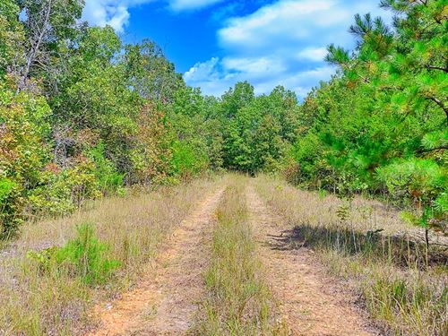 Three Lots Near Diamond Lake : Horseshoe Bend : Izard County : Arkansas