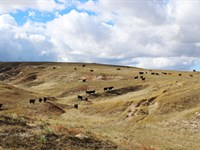 BX Grass Ranch : Hemingford : Box Butte County : Nebraska