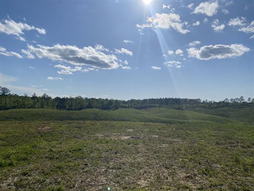 Land for Sale in Tn, 2.35 Acres : Bethel Springs : McNairy County : Tennessee