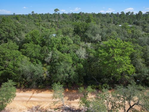 Nature Lovers Dream : Fort McCoy : Marion County : Florida