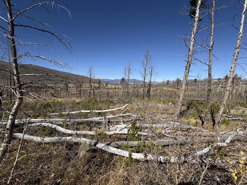 1070 Reed Lane, Ft Garland, CO 811 : Fort Garland : Costilla County : Colorado