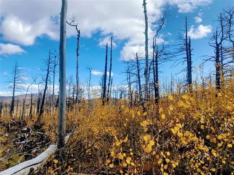 Galbreath Lane, Ft Garland, CO : Fort Garland : Costilla County : Colorado