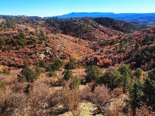 11298 Primero Ranch Rd, Trinidad : Trinidad : Las Animas County : Colorado