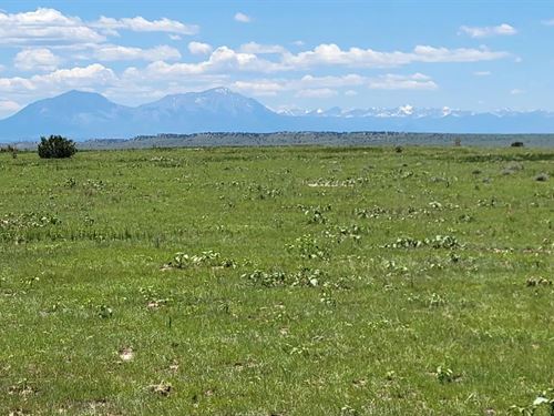 Turkey Ridge Road E Lot 75, WA : Walsenburg : Huerfano County : Colorado