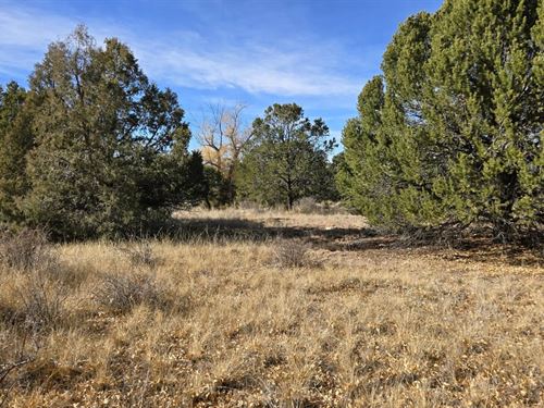 126 Cedar Ridge Rd 2, Mosca, CO 811 : Mosca : Alamosa County : Colorado