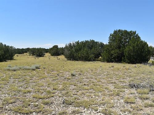 Lot 36 County Rd 93.9, Trinidad : Trinidad : Las Animas County : Colorado