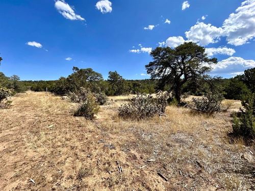 Lot 919 Los Vaqueros Circle, Walsen : Walsenburg : Huerfano County : Colorado