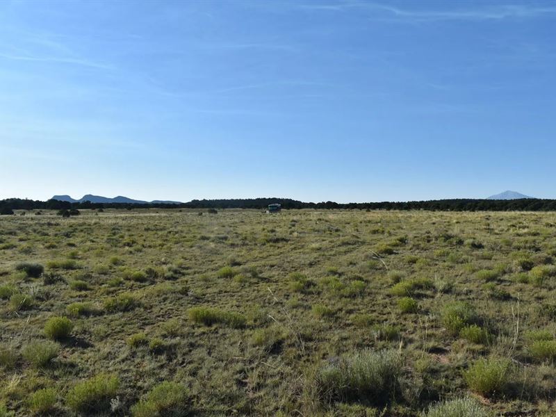 Lizard Lane, Gardner, CO 81040 : Gardner : Huerfano County : Colorado