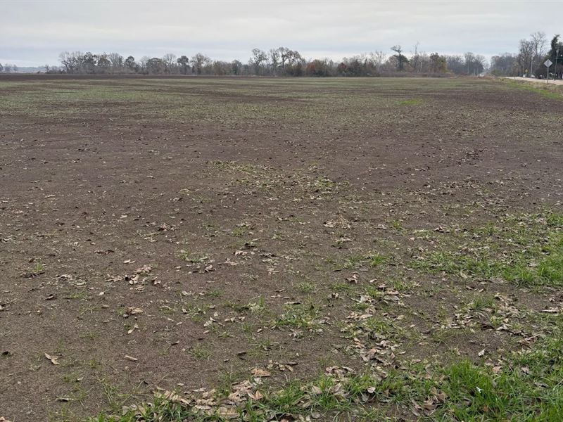 7.68 Acres in Chicot County, AR : Lake Village : Chicot County : Arkansas