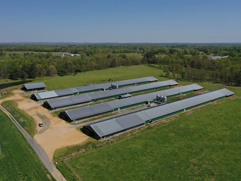 Black Oak Mega Broiler Farm : Fyffe : Dekalb County : Alabama