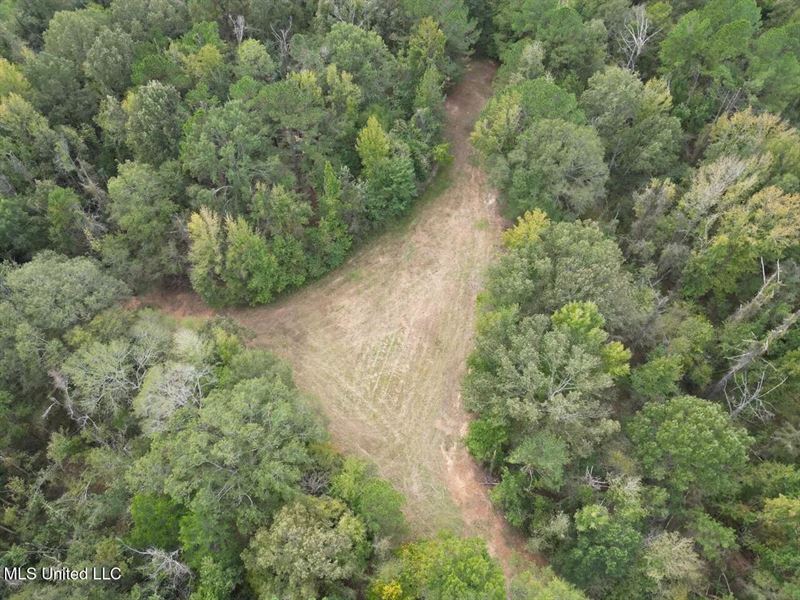 Hunting Land in Claiborne County : Pattison : Claiborne County : Mississippi