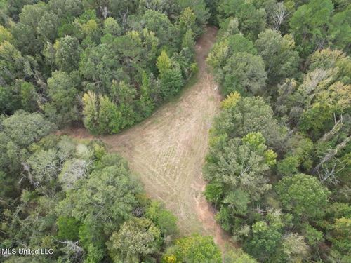Hunting Land in Claiborne County : Pattison : Claiborne County : Mississippi
