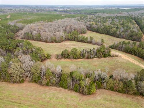 Timberland Farmland For Sale Clay : Mantee : Clay County : Mississippi