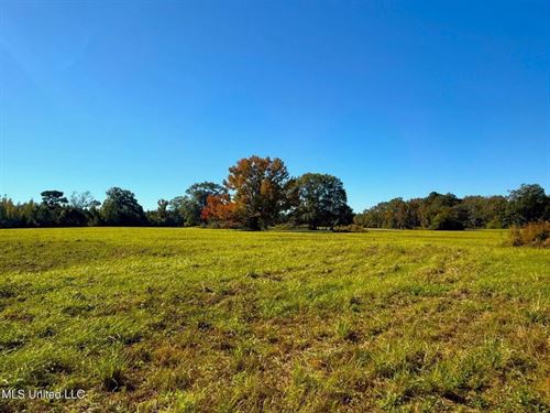 Rural Pastureland in Pike County MS : Magnolia : Pike County : Mississippi