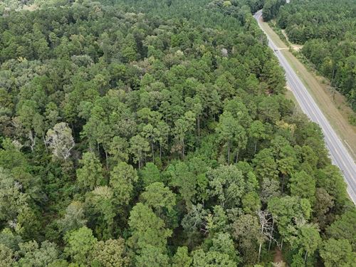 Hunting And Timberland, Homesite : Trout : La Salle Parish : Louisiana
