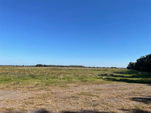 40 Acres on Vermillion River in Abb : Abbeville : Vermilion Parish : Louisiana