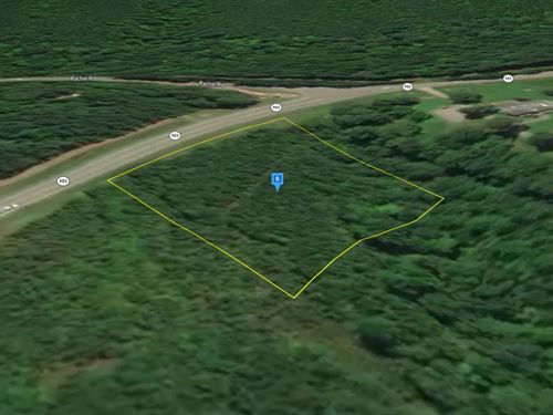 1.19 Acres in Warren County NC : Littleton : Warren County : North Carolina