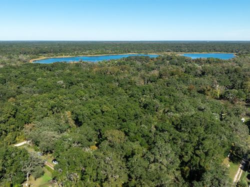 .38 Acre Citra FL Property : Citra : Marion County : Florida