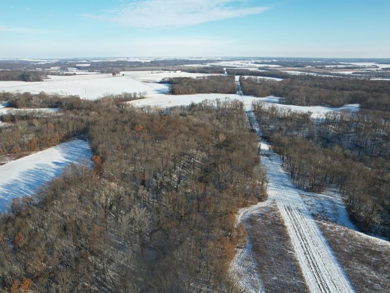 Shelby 40 Tract 2 : Lakewood : Shelby County : Illinois