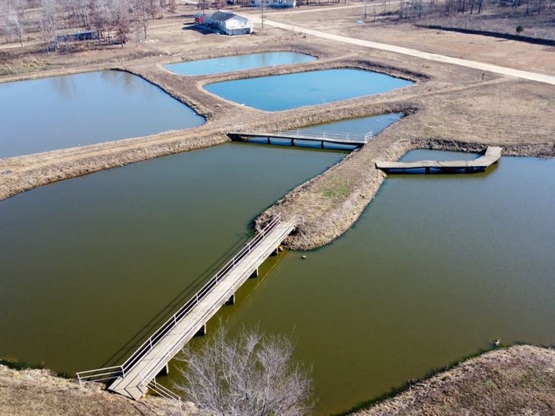 Exceptional Investment and Developm : Fairdealing : Ripley County : Missouri