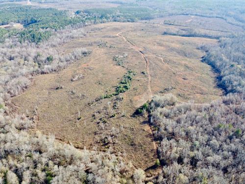 Double Creek Farm, 205 Acres : Lafeyette : Chambers County : Alabama