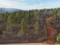 Gleneagles Tract 8 : Piedmont : Cherokee County : Alabama