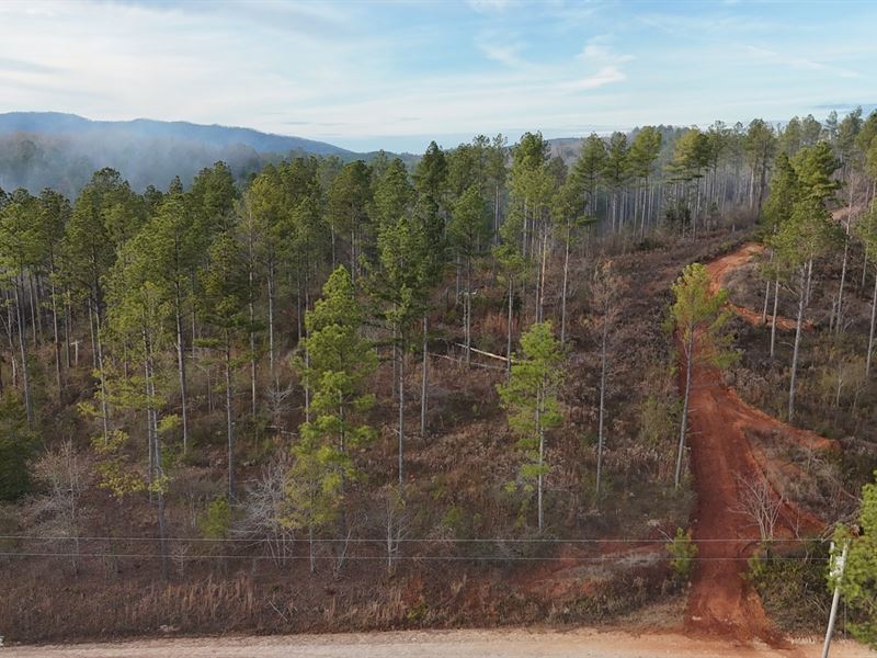 Gleneagles Tract 8 : Piedmont : Cherokee County : Alabama