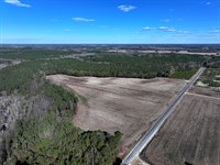 Farm and Timber Land for Sale : Fairmont : Robeson County : North Carolina