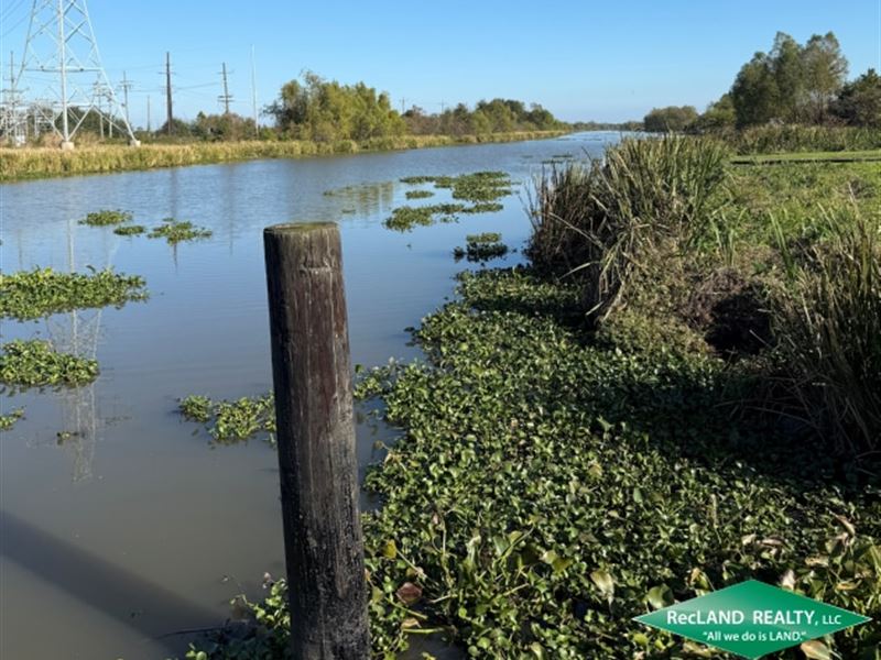 1 Ac Waterfront Lot : Lockport : Lafourche Parish : Louisiana