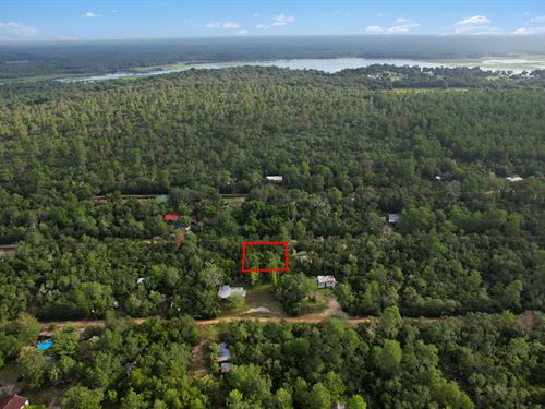 Land By The Lake : Fort McCoy : Marion County : Florida