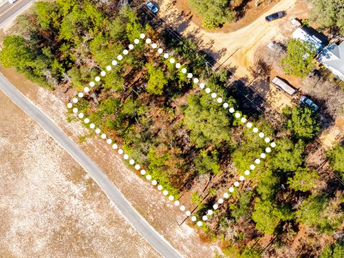 Near Highway, Owner Financing : Interlachen : Gordon County : Georgia