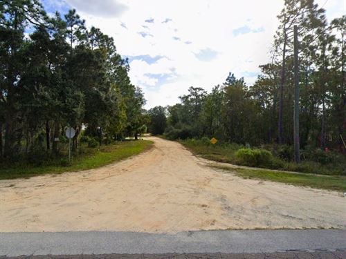 Shaded Wooded Lot Near Highway : Interlachen : Gordon County : Georgia