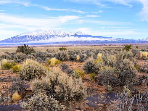 Desert Off-Grid Living : Blanca : Costilla County : Colorado
