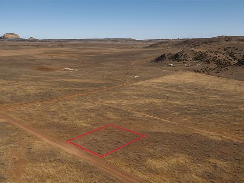 1 Acre High Desert, $175/Mo : Concho : Apache County : Arizona