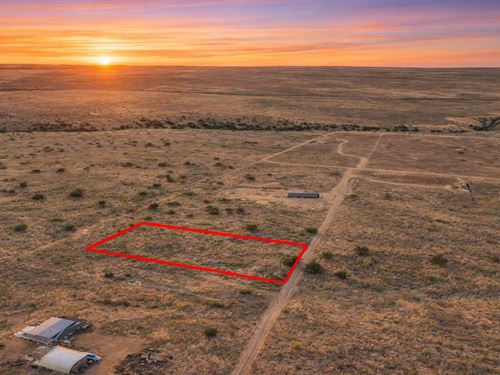 5 Acre Airport-Adjacent, Views : Winslow : Navajo County : Arizona