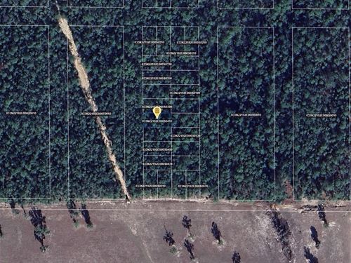 .11 Acre in Crestview, $150/Mo : Crestview : Okaloosa County : Florida