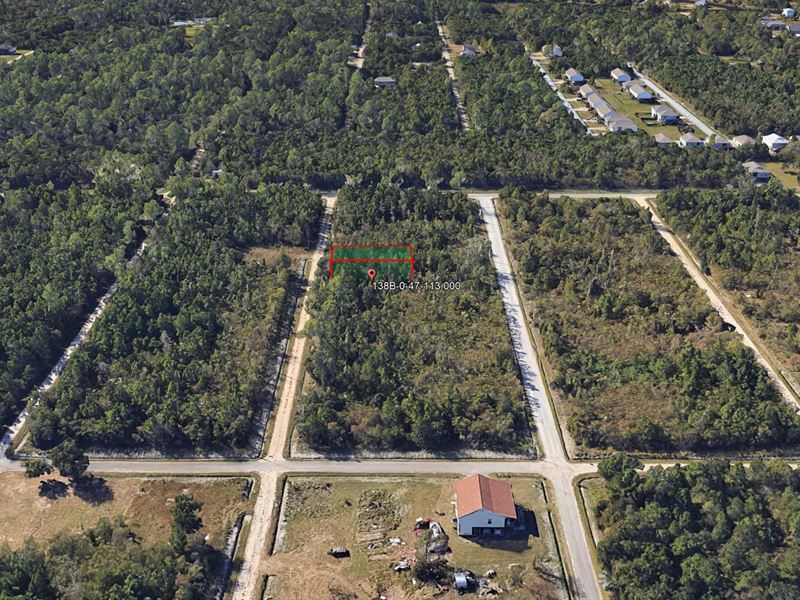 .12 Acre in Bay Saint Louis, $150 : Bay Saint Louis : Hancock County : Mississippi