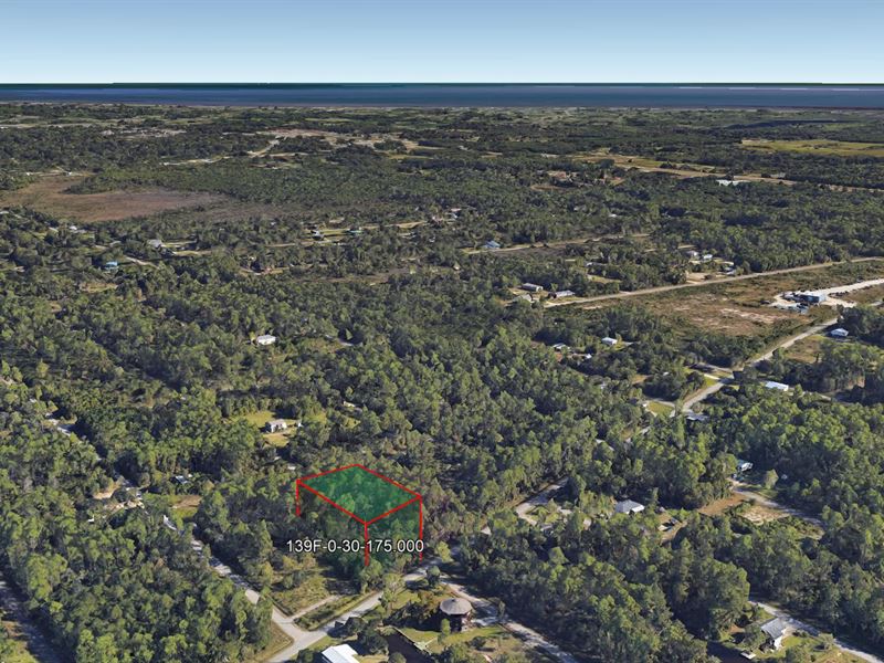 .26 Acre in Bay Saint Louis, $175 : Bay Saint Louis : Hancock County : Mississippi