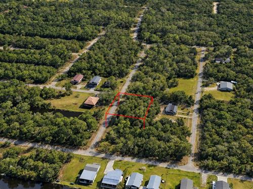 .33 Acre Oversized Lot, Power : Bay Saint Louis : Hancock County : Mississippi