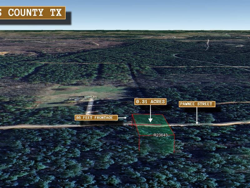 .31 Acre in Navasota, $275/Mo : Navasota : Grimes County : Texas