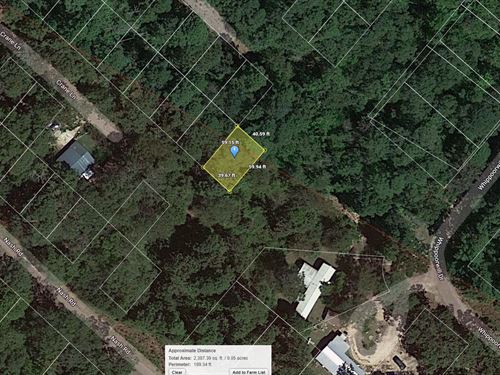 .05 Acre in Harleton, $150/Mo : Harleton : Harrison County : Texas