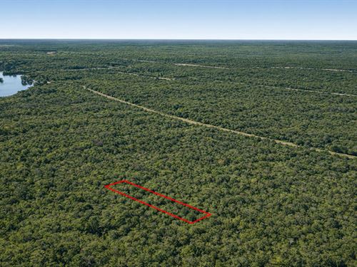 .29 Acre in Cleveland, $175/Mo : Cleveland : Liberty County : Texas