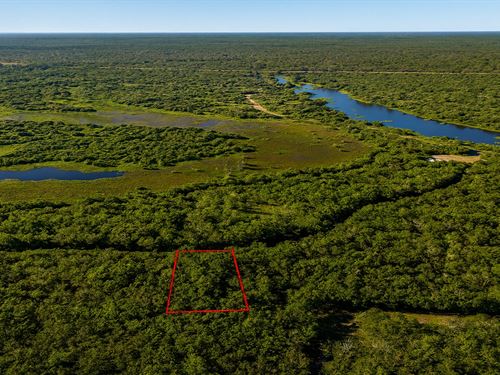 .32 Acre in Cleveland, $150/Mo : Cleveland : Liberty County : Texas