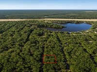.23 Acre Wooded Lot Near Lake : Cleveland : Liberty County : Texas