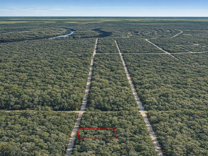 .1 Acre Near Pecan Lake, $150/Mo : Dayton : Liberty County : Texas