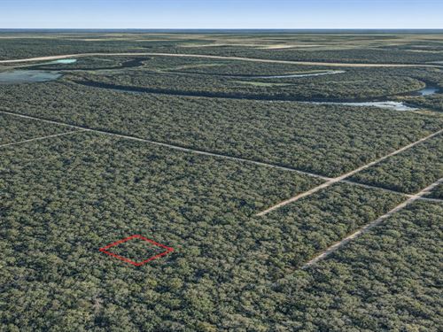 .21 Acre in Dayton, $175/Mo : Dayton : Liberty County : Texas