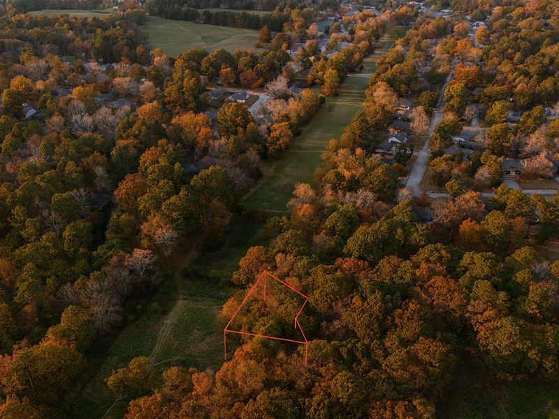 .25 Acre in Willis, $300/Mo : Willis : Montgomery County : Texas