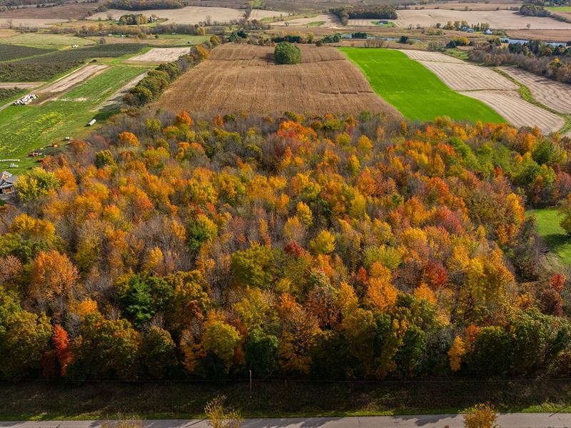 134 Acres Eau Claire County, WI : Osseo : Eau Claire County : Wisconsin