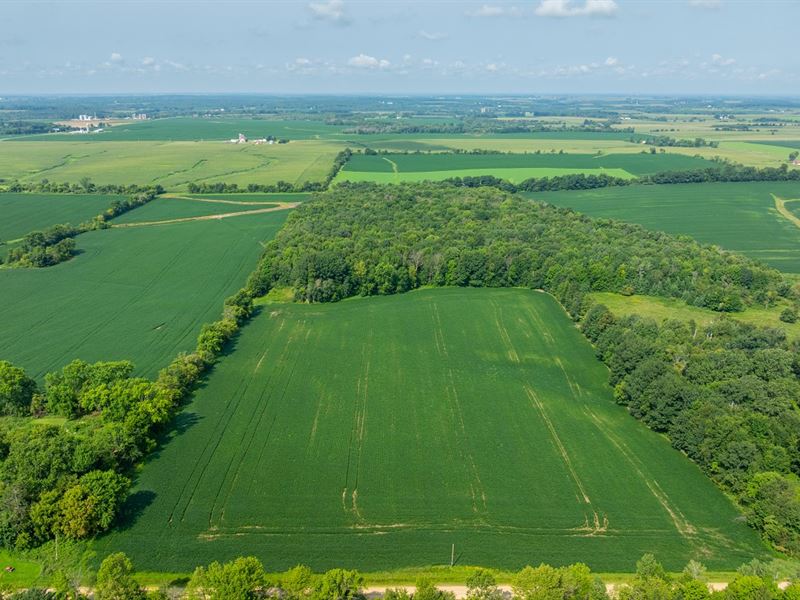 13.50 Acres St. Croix County, WI : Glenwood City : Saint Croix County : Wisconsin