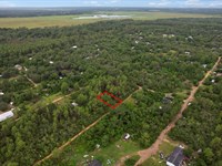 Peace in The Pines : Umatilla : Marion County : Florida